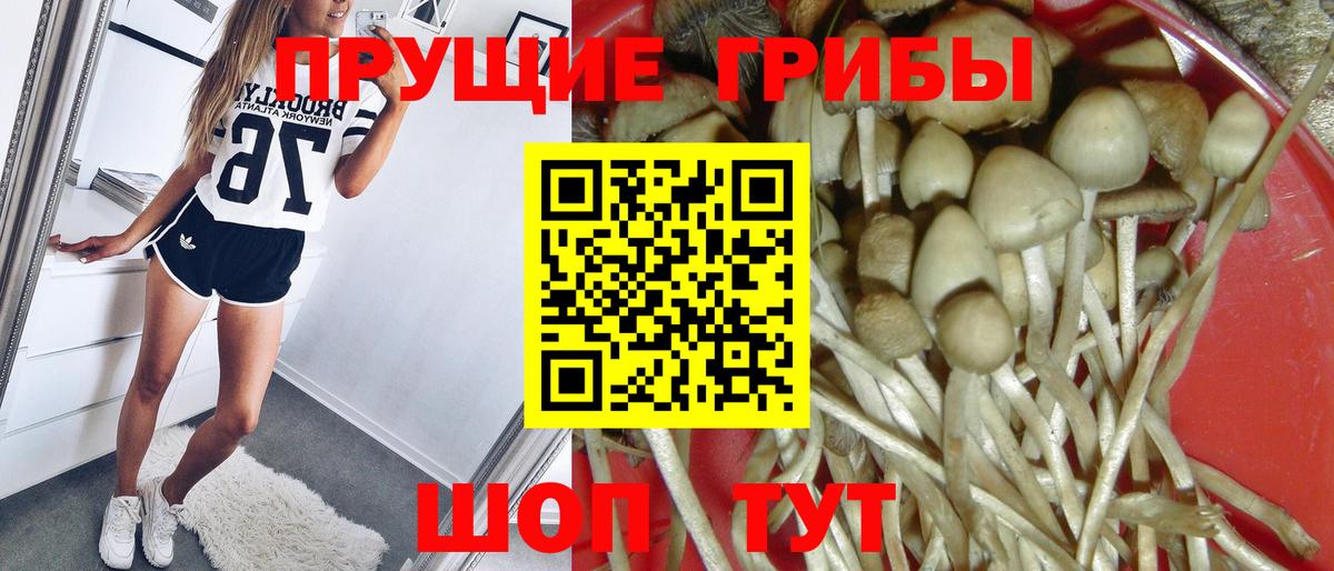 Галлюциногенные грибы Psilocybe  Вход с VPN  Новотроицк  Галлюциногенные грибы MAGIC MUSHROOMS 